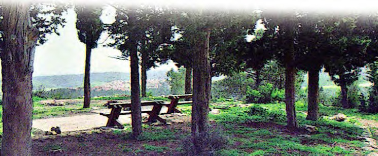 Combining scenery and recreation in Israel’s Carmel Forest